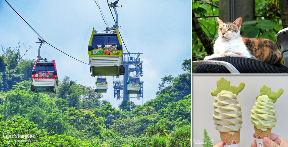 Read more about the article 貓空纜車+熱門必吃貓空美食，搭配木柵動物園來場貓空一日遊