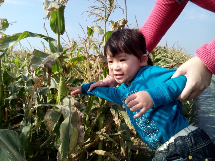 Read more about the article 《雙寶過新年》田園生活體驗好新鮮，第一次近距離農作物接觸