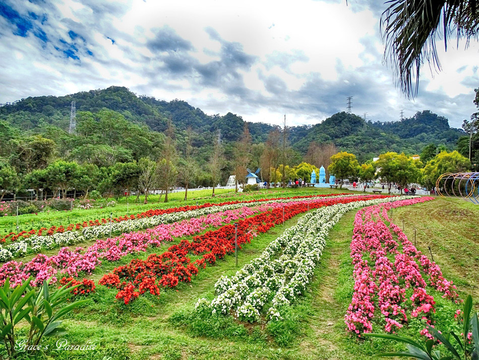 桃園景點富田花園農場 (13).jpg