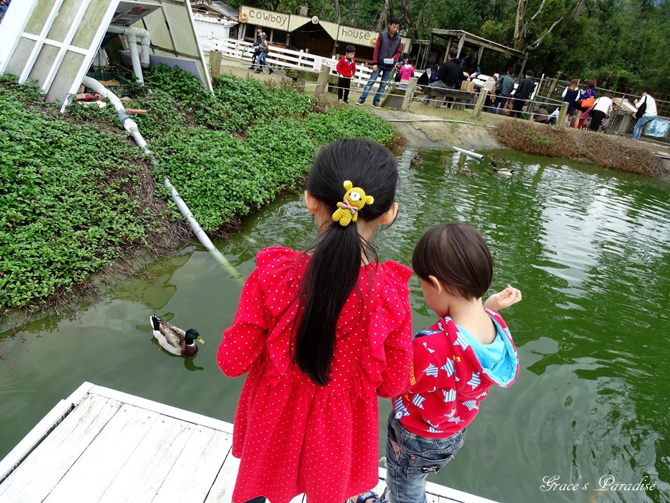 桃園景點富田花園農場 (38).jpg