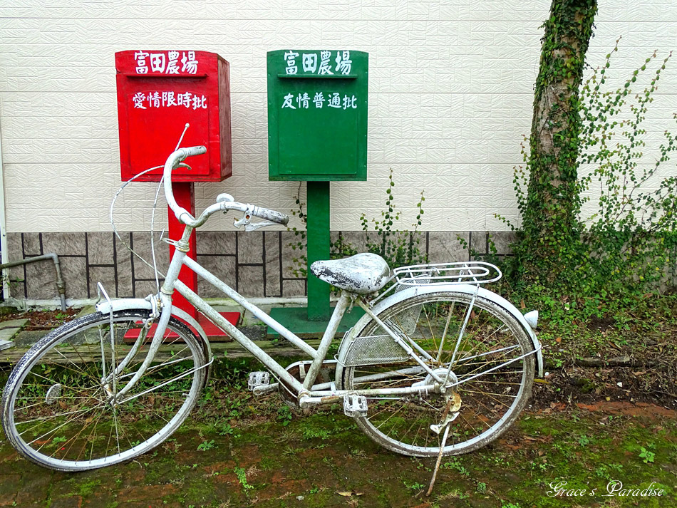 桃園景點富田花園農場 (53).jpg