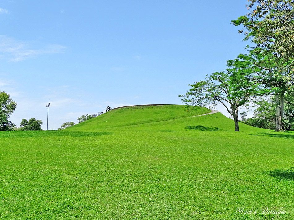 羅東運動公園 (19).jpg