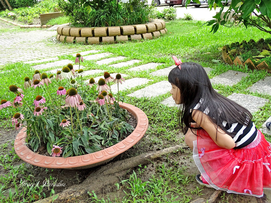 安妮公主花園 (39).jpg