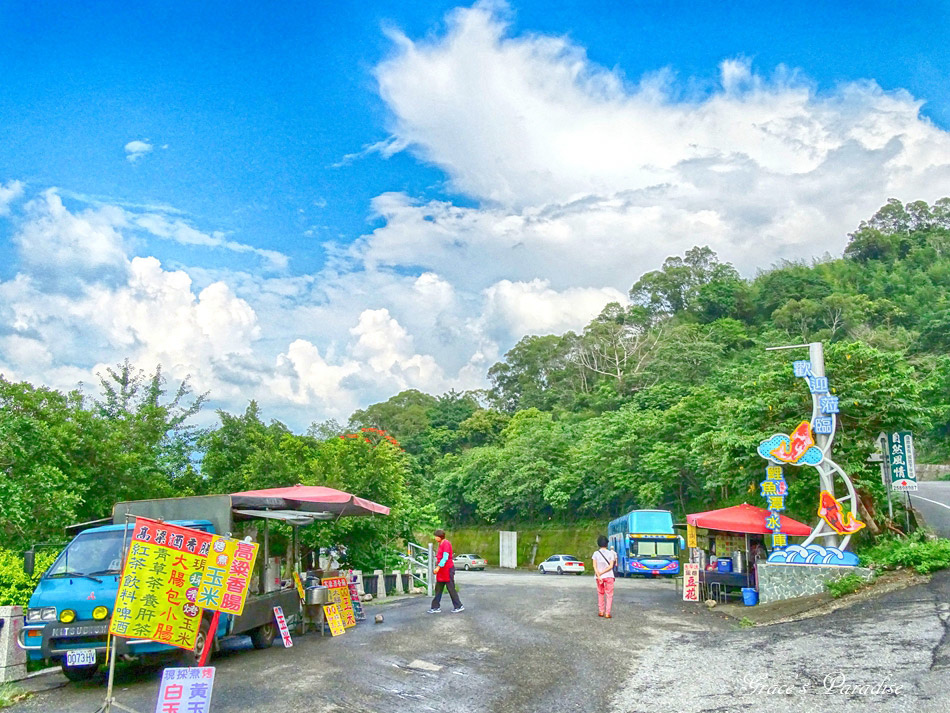 苗栗景點鯉魚潭水庫 (5).jpg