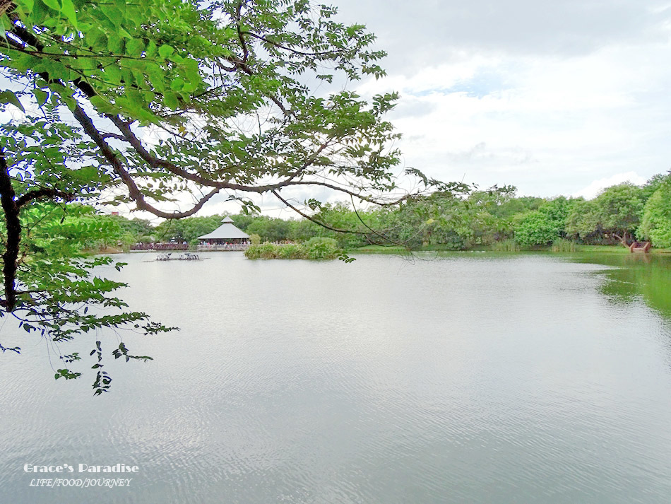 Read more about the article 【桃園八德景點】八德埤塘自然生態公園-親近自然生態、大草皮野餐親子同樂好去處