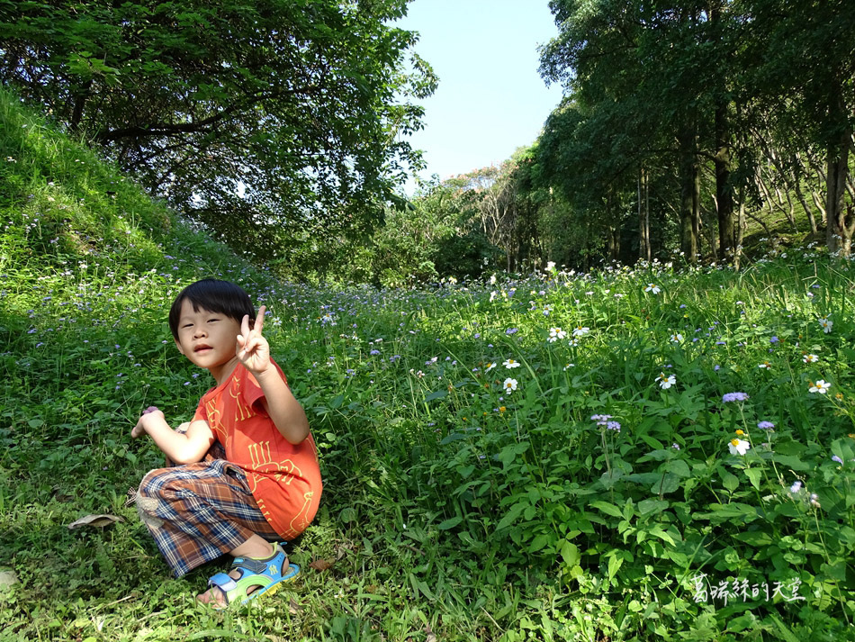 石門水庫後潭 (22).jpg