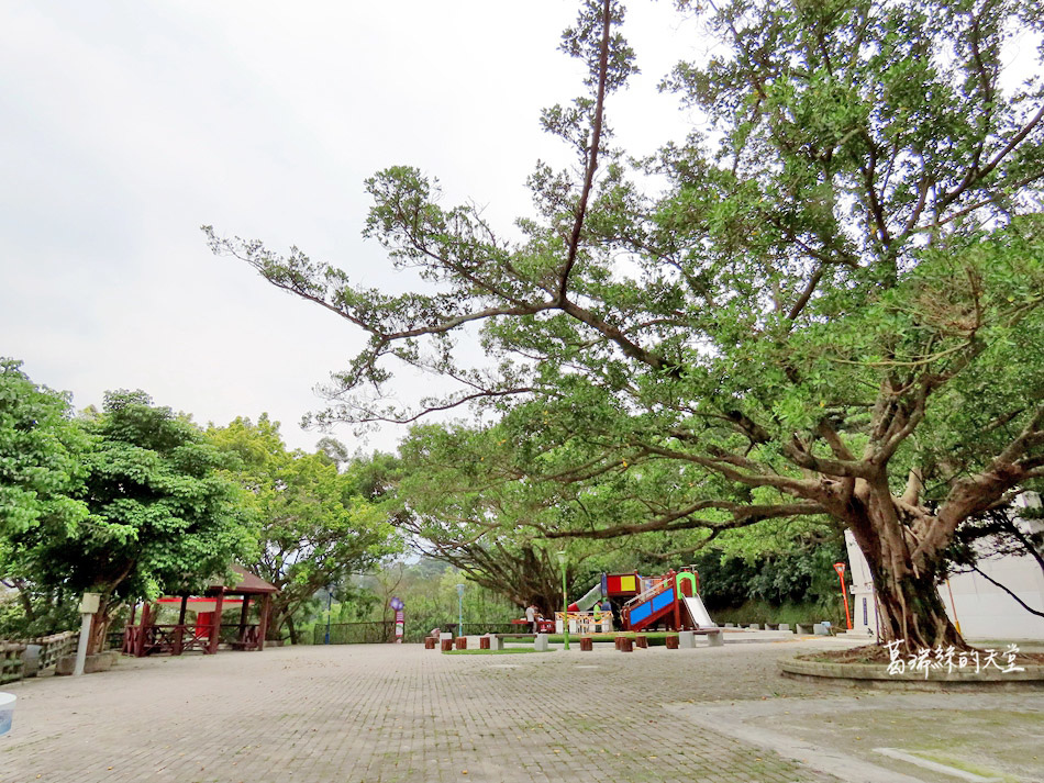 三峽特色公園-中山公園遊戲場 (28).jpg