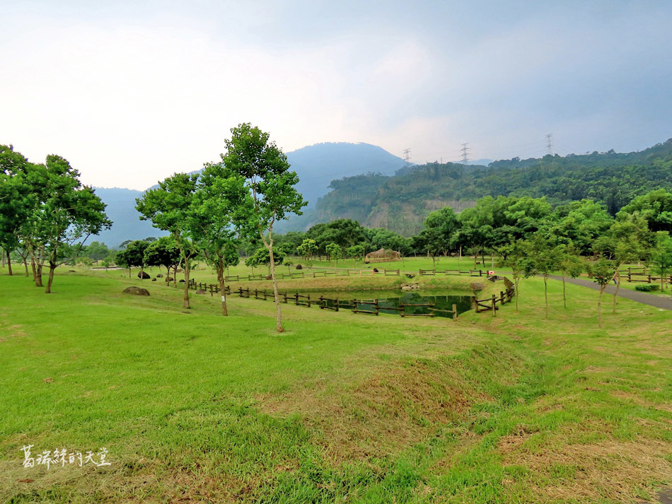 嘉義番路景點-旺萊山愛情大草原 (18).jpg