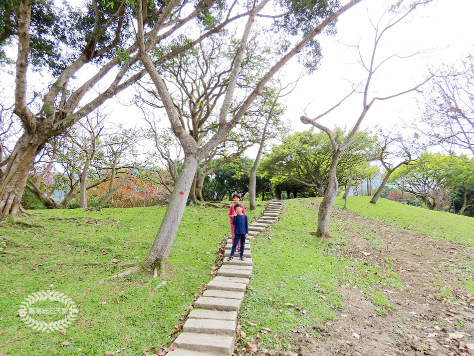 南港景點-南港公園 (7).jpg