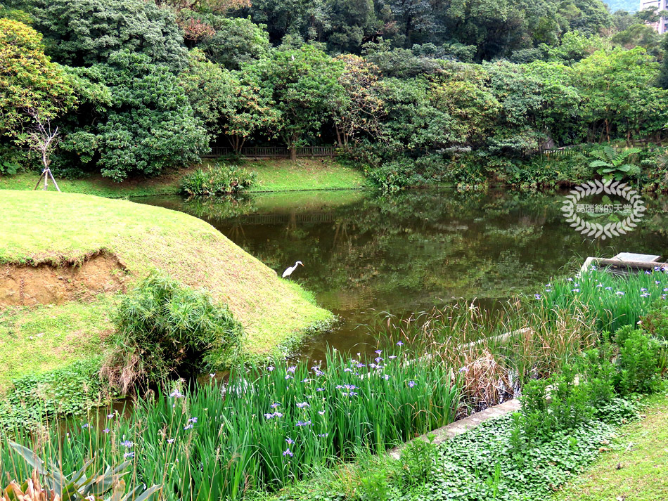 南港景點-南港公園 (32).jpg