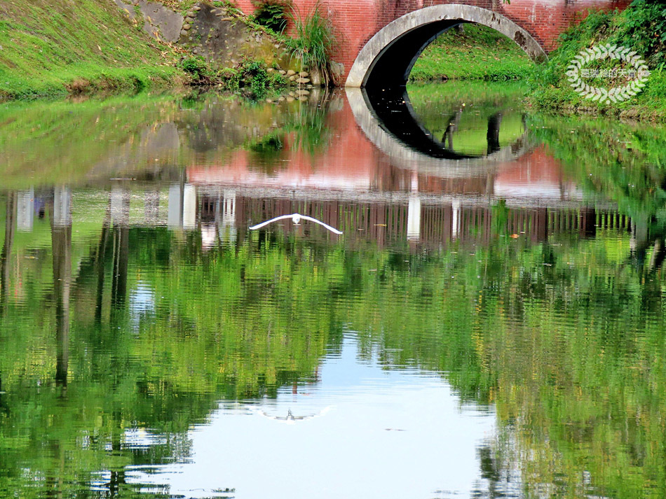 南港景點-南港公園 (34).jpg