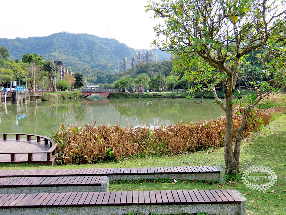 南港景點-南港公園 (55).jpg