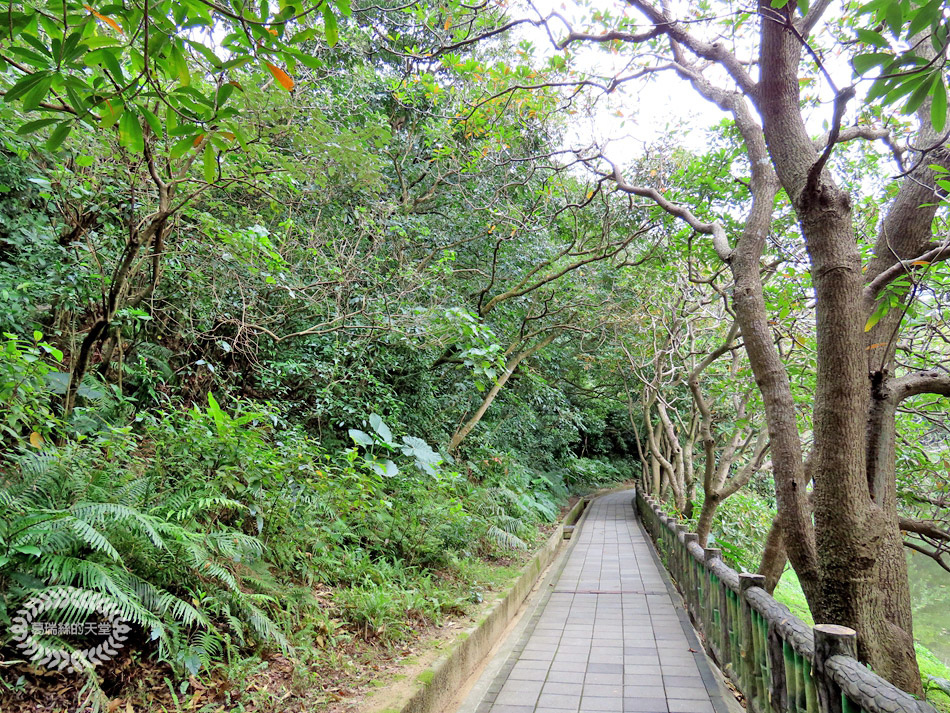 南港景點-南港公園 (44).jpg