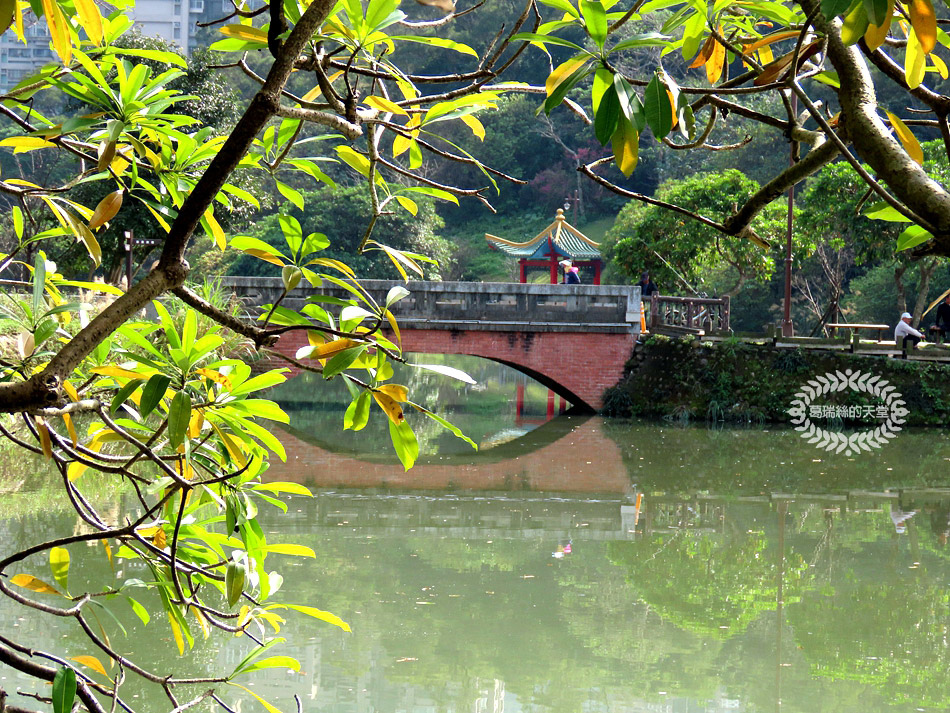 南港景點-南港公園 (56).jpg