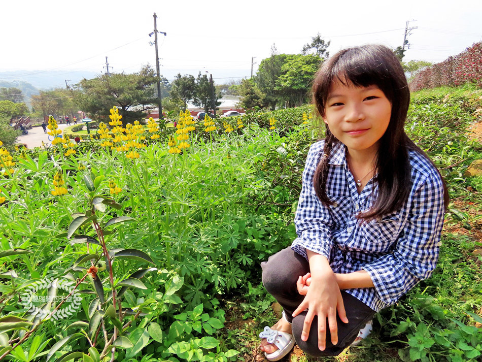 2020戀戀魯冰花 (16).jpg