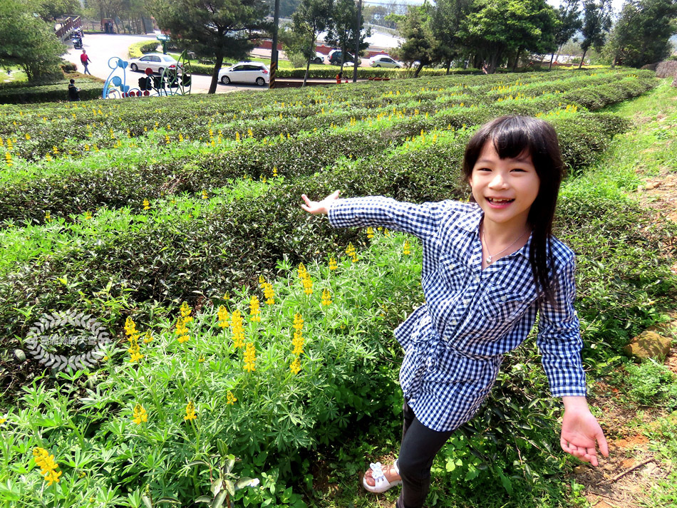 2020戀戀魯冰花 (19).jpg