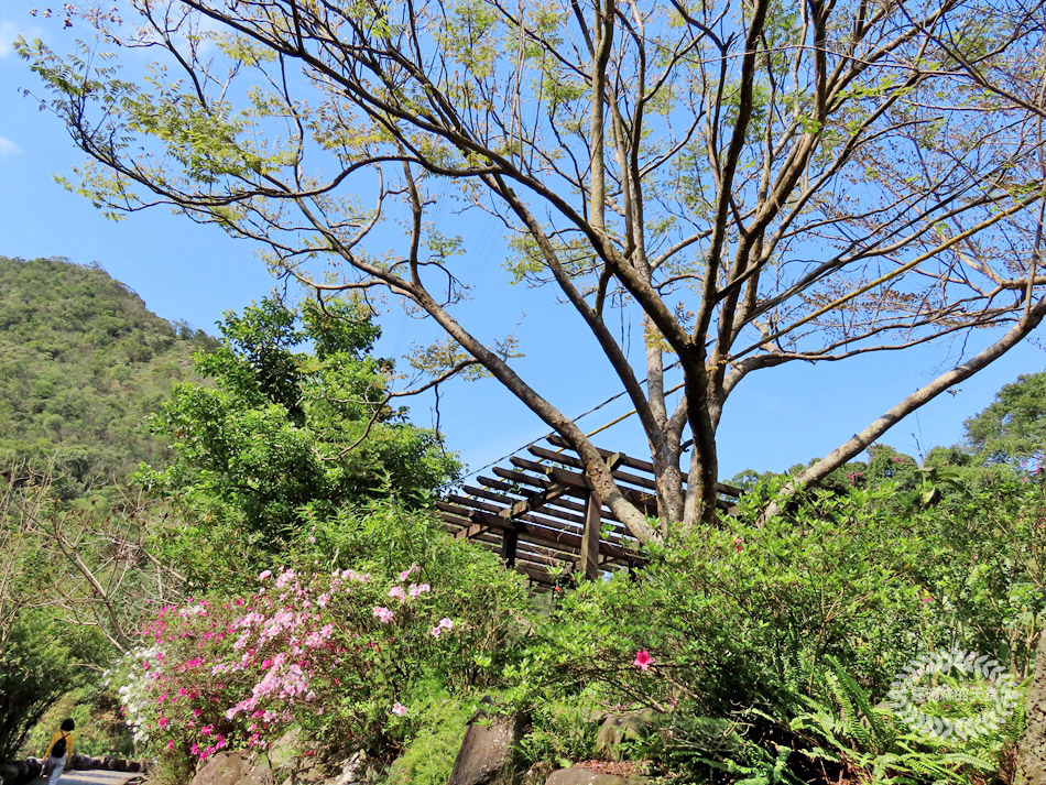 內湖景點-大溝溪生態治水園區 (40).jpg