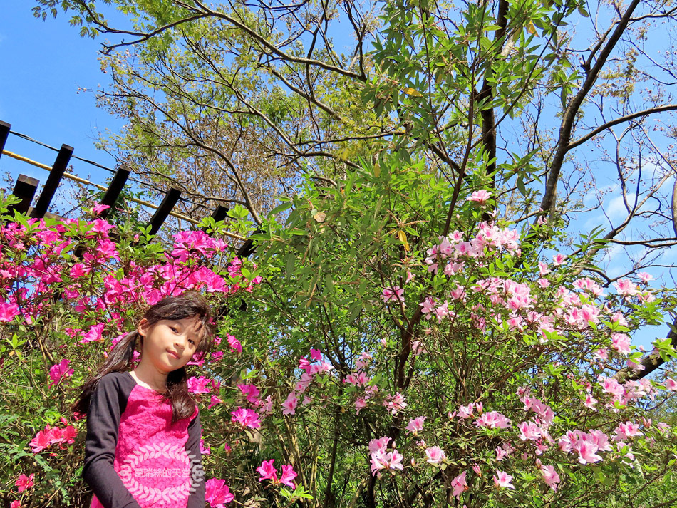 內湖景點-大溝溪生態治水園區 (43).jpg