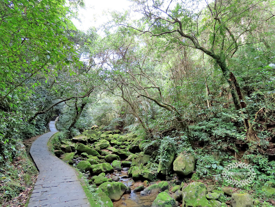 內湖景點-大溝溪生態治水園區 (49).jpg