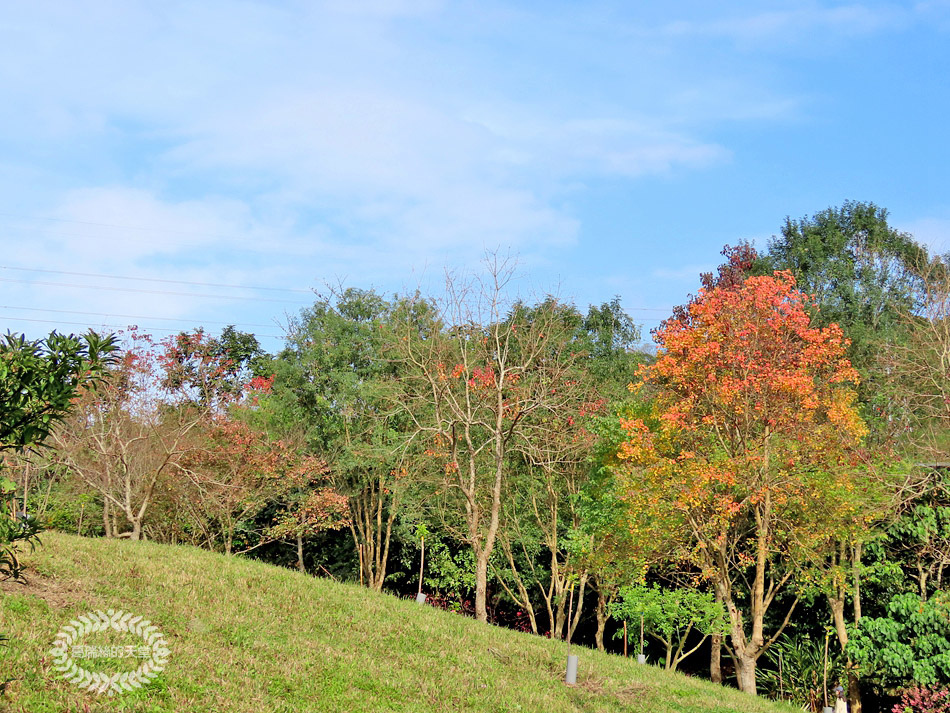 內湖景點-大溝溪生態治水園區 (63).jpg