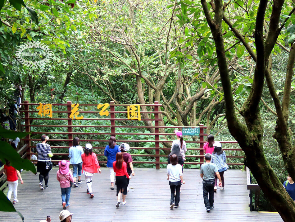 土城景點-桐花公園 (9).jpg