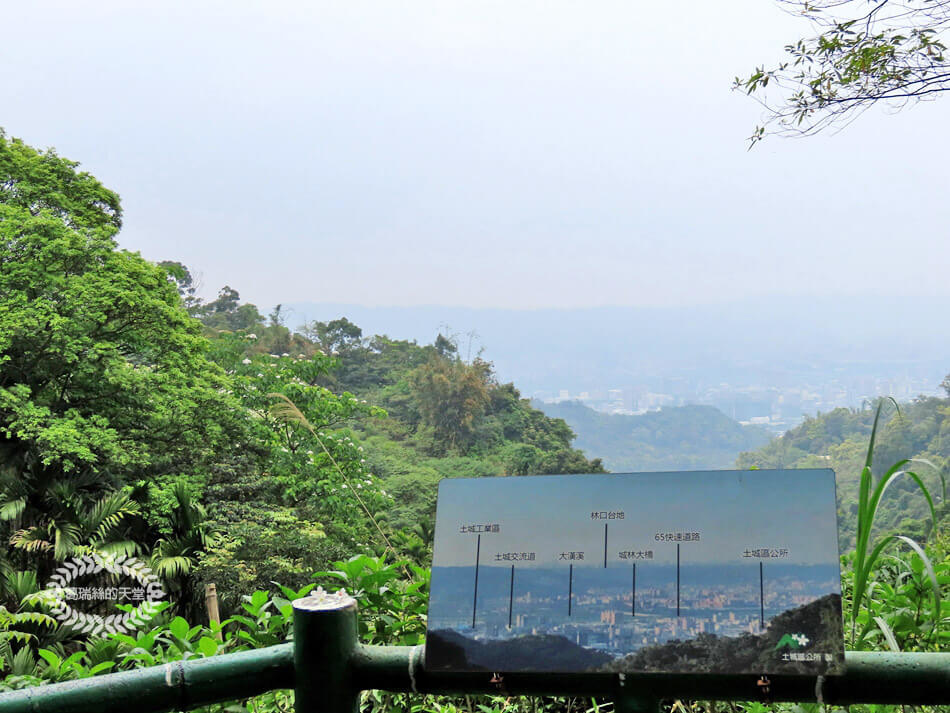 土城景點-桐花公園 (21).jpg