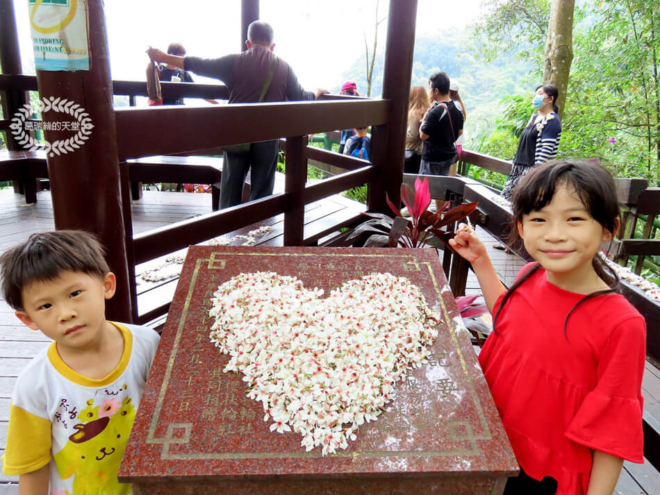 土城景點-桐花公園 (24).jpg