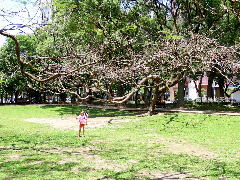 台北特色公園－信義區公園－松德公園 (46).jpg