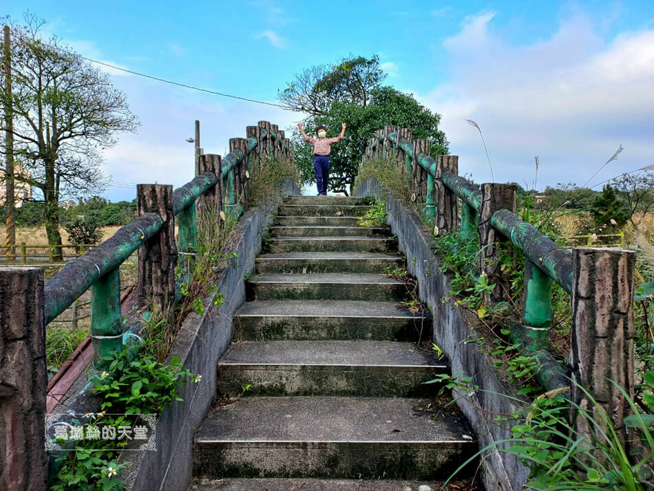 三芝特色公園-櫻花公園遊戲場-三芝櫻花水車園區 (11).jpg