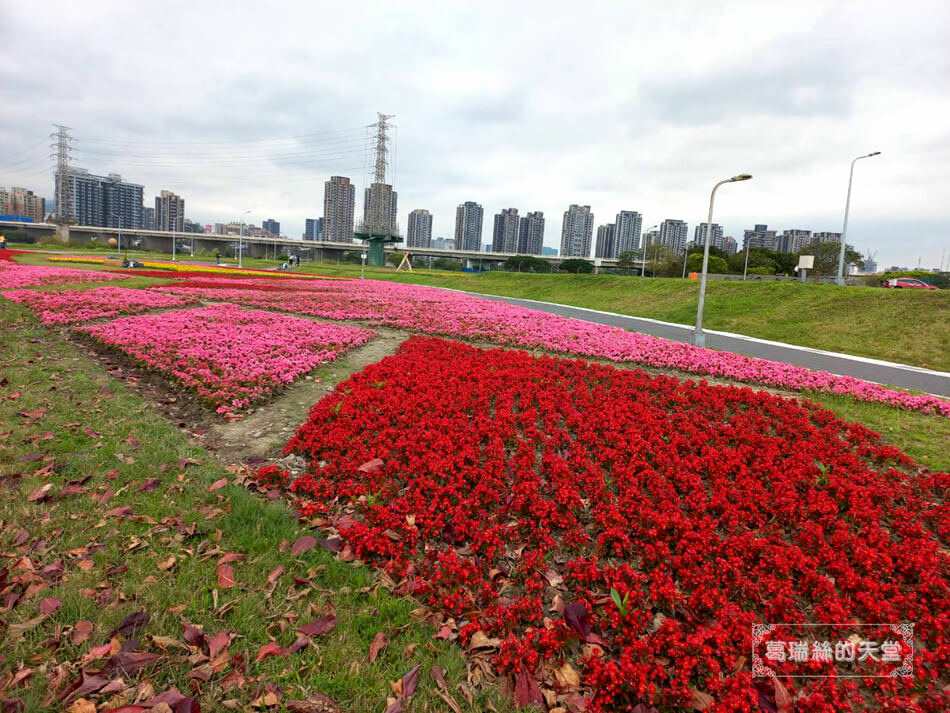 萬華特色公園-華中河濱公園 (43).jpg