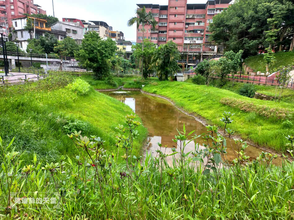 汐止特色公園-水返腳公園-玩水景點 (18).jpg