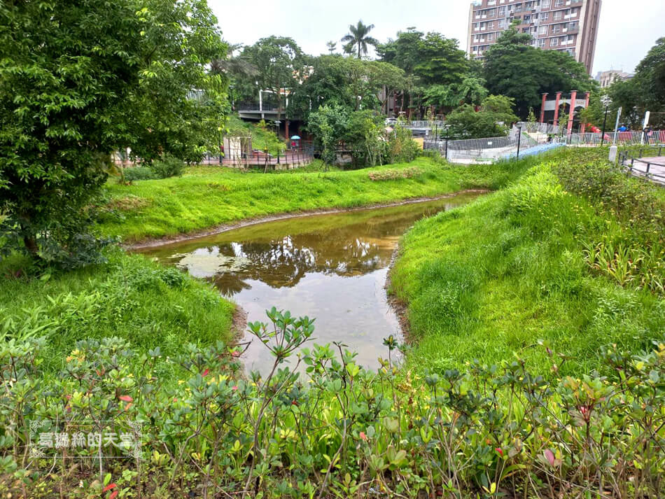 汐止特色公園-水返腳公園-玩水景點 (38).jpg