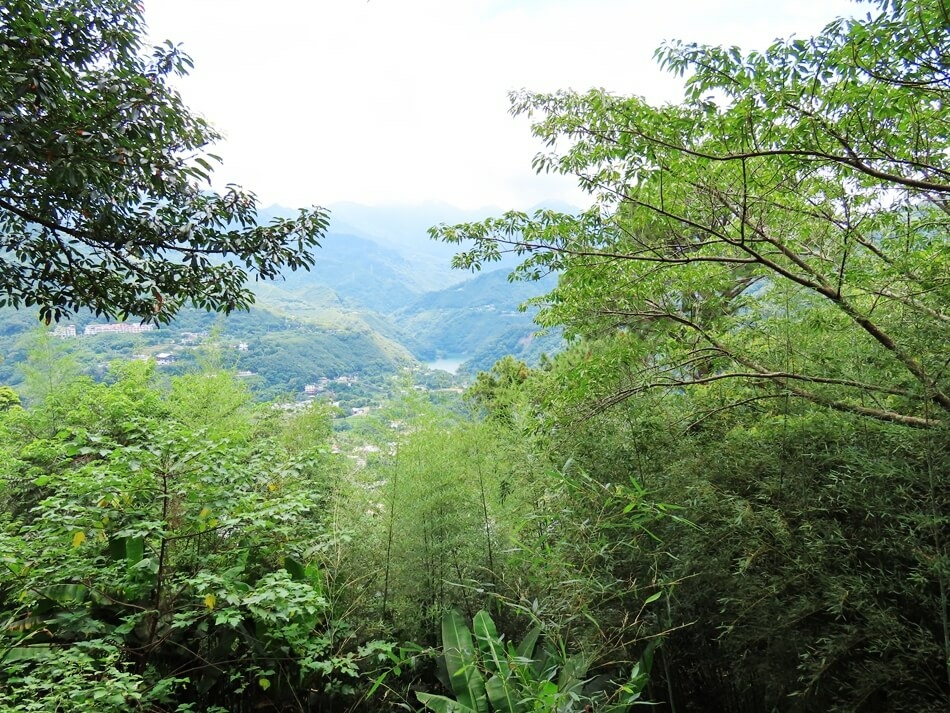 桃園復興景點-角板山公園&拉拉山水蜜桃冰沙-大摳呆冰品店 (14).JPG