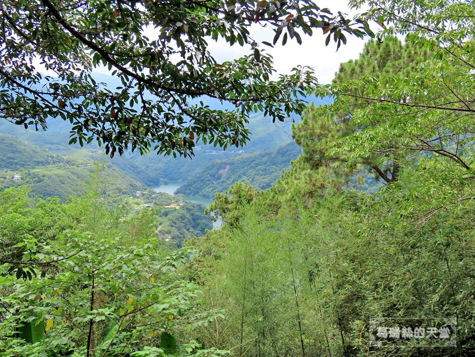 桃園復興景點-角板山公園&拉拉山水蜜桃冰沙-大摳呆冰品店 (15).JPG