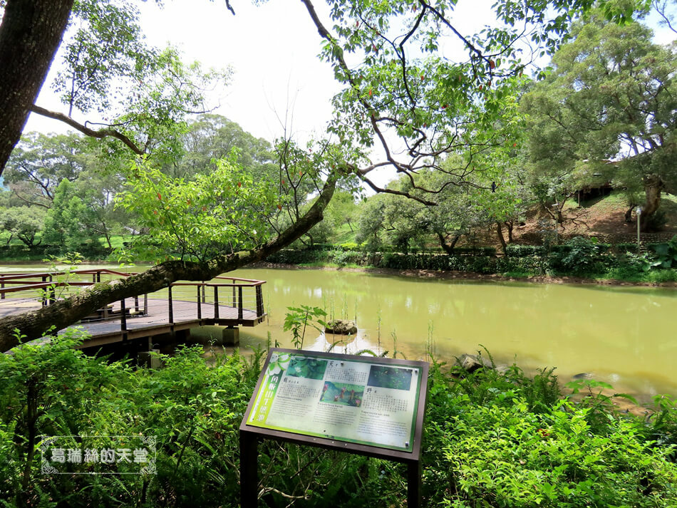 桃園景點-角板山行館 (11).JPG