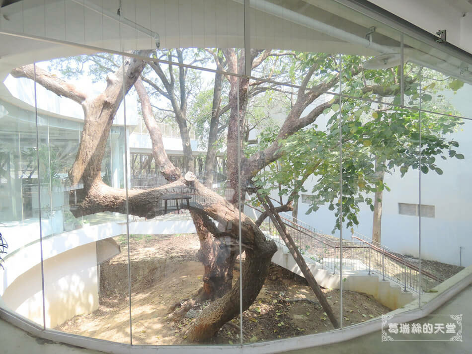 新竹公園餐廳-新竹動物園附近餐廳推薦-森林食堂&野餐市集  (10).JPG