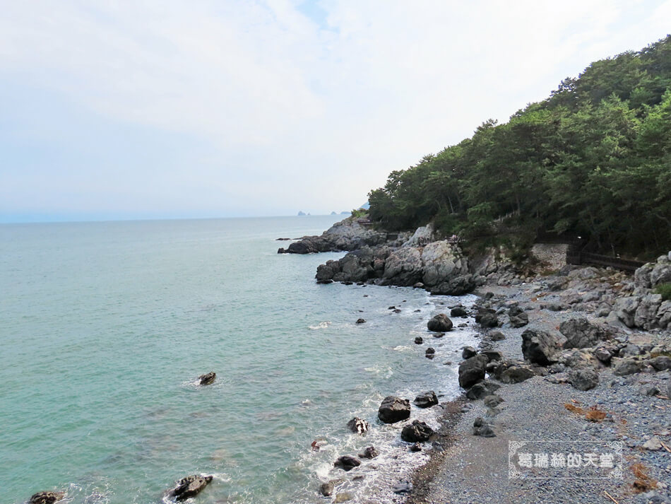 釜山海雲台景點-冬柏公園 (19).JPG